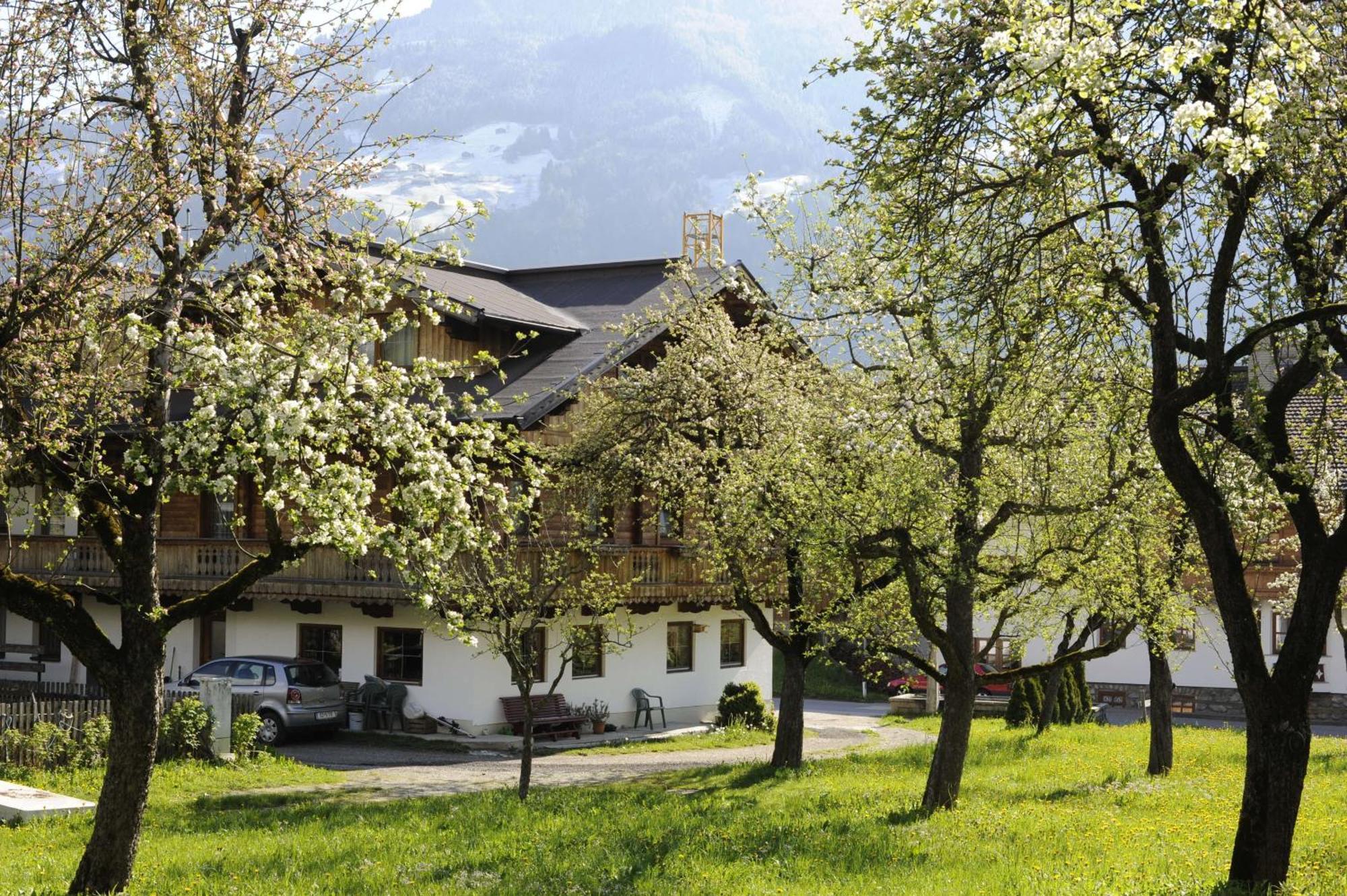Oberstockachhof Apartment Швендау Екстериор снимка