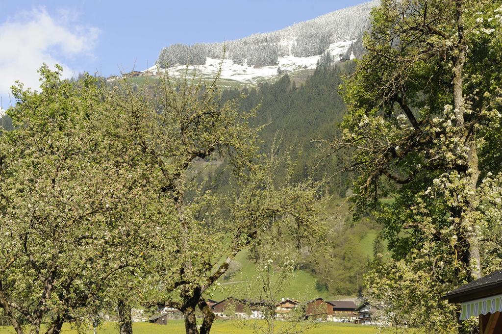 Oberstockachhof Apartment Швендау Екстериор снимка